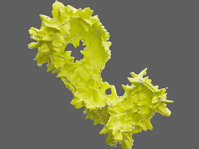 Lime 3d abstract c4d cinema4d design green illustration lime redshift sculpting