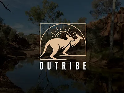 Australian kangaroo australia australian kangaroo wild