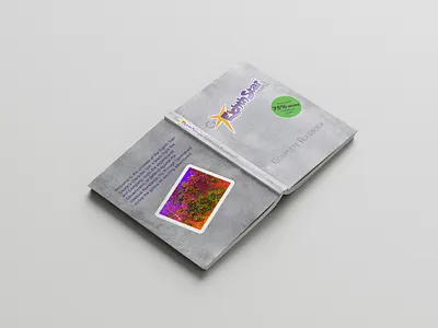 Eighth Star Rulebook cover branding design graphic design illustration logo