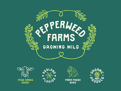 Pepperweed Farms branding chicken farm florida homestead logo sheep