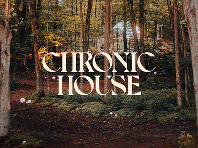 Chronic House — Visual Identity brand brand identity branding design designed by paul designer figma freelance graphic design green logo logotype nature poster poster design signage tattoos type typography visual identity