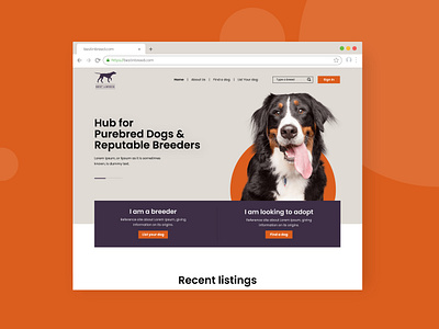 Web Design design design agency pitchworx ui ui design uiux user interface ux ux design web design website design