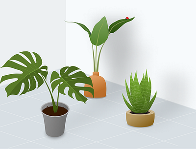 Indoor plants and a ladybug 2d illustration digital artwork figma flat illustration illustrator object design