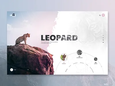 LEOPARD design ui web webdesign