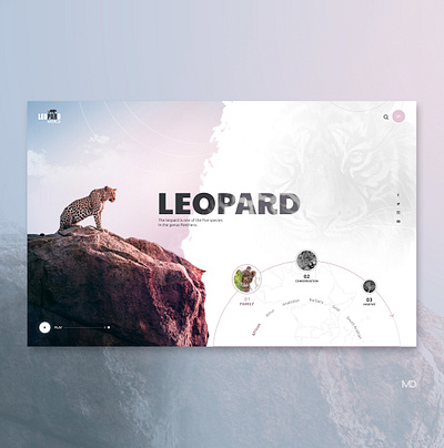 LEOPARD design ui web webdesign