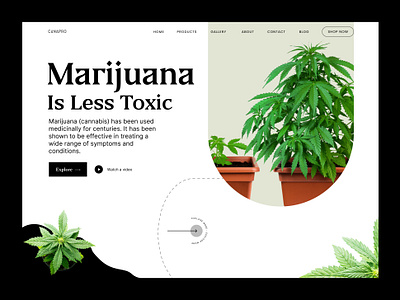 Cannabis Web Header bitmatestudio cannabis cannabis packaging concept design interface landing page marihuana marijuana natural organic ui ux web