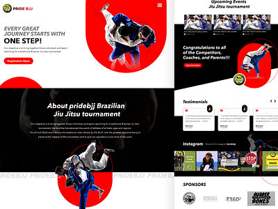 Fighter Site branding fighter illustration landing page martialarts ui website