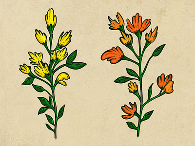 Flowers 2d design illustration графика растения цветы