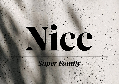 Nice Type System font font design font foundry fonts fontwerk nice font nice typeface optical sizes serif serif font serif typeface type design type foundry type system typeface typography variable font variable fonts