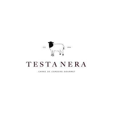 Testanera Gourmet Logo ai branding design food gourmet graphicdesign illustrator ilustration logo minimal modern
