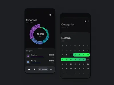 Expenses app branding design graphic design illustration typography ui ux vector