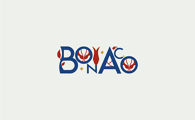 BONACO branding design graphic design illustration logo typography ui vector