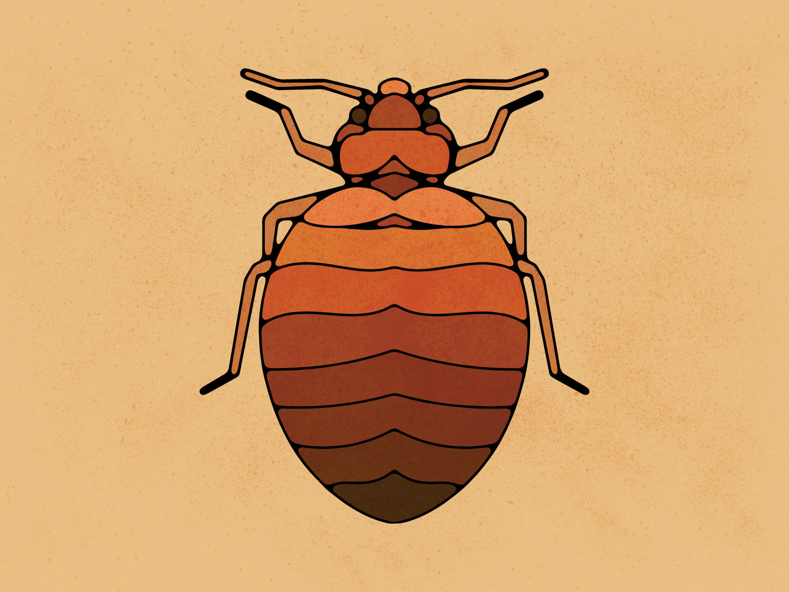 Bed Bug antena bed bug beetle creepy cruel evil exoskeleton flea geometric gnat gross icon illustration insect legs rude spider vector