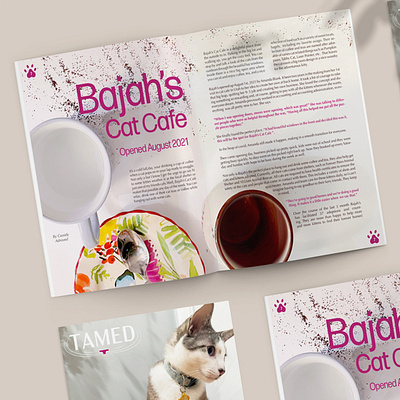 Cat Enthusiast Magazine design graphic design magazine photography publication typography