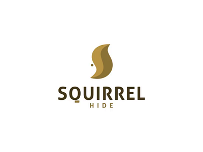 Squirrel logo concept brand branding design graphic graphic design illustration logo ui ux vector