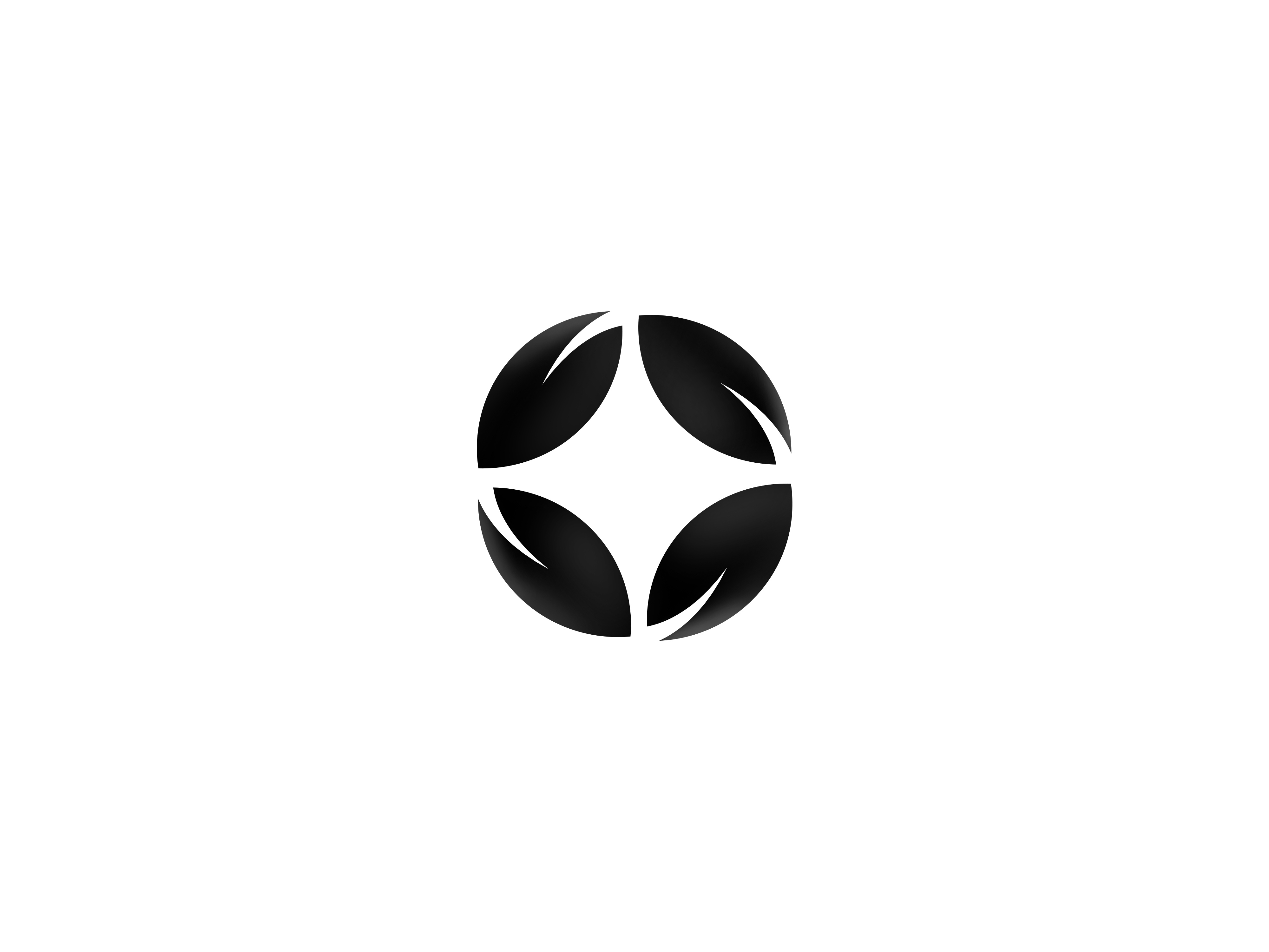 Example of Premium Custom Logo