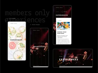 Edison House design ui ui design uiux design webdesign