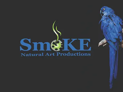 Modern logo design 3d animation app branding business logo design graphic design illustration logo motion graphics ui