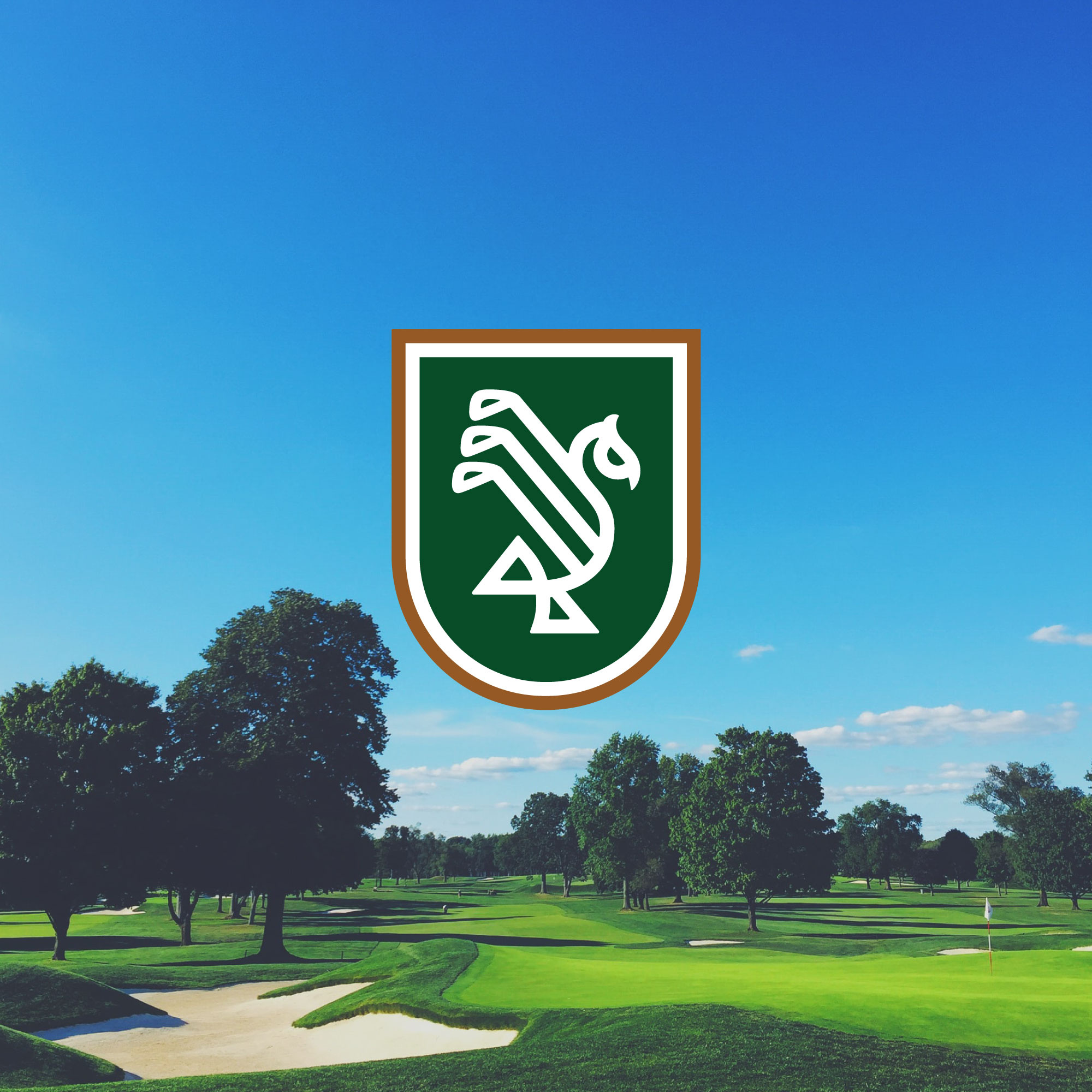 Example of Brand Identity Design