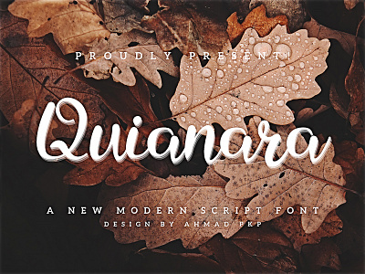 Quianara Font Script animation app art branding design flat graphic design handwriting icon illustration illustrator logo minimal typography ui ux vector web website wedding