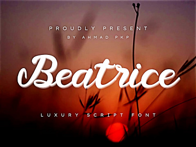 Beatrice Font Script 3d animation app branding design flat graphic design handwriting icon illustration illustrator logo minimal typography ui ux vector web website wedding