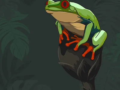 Red Eyed Frog artwork frog illustration ipad rainforest