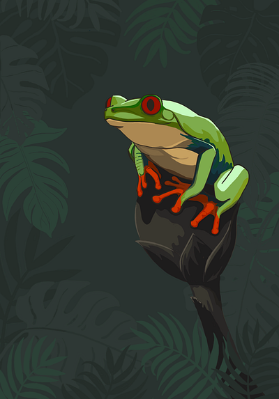 Red Eyed Frog artwork frog illustration ipad rainforest