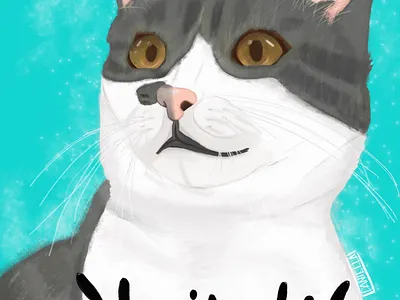 My cat art creative design illustration