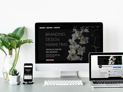 Brand + Design + Create Website design graphic design website