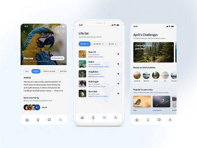 Bird Watching app concept animal app ui app ui app uxui design bird app design bird app uxui design bird watching app concept design digital design ios app design product design ui uiux design web app design