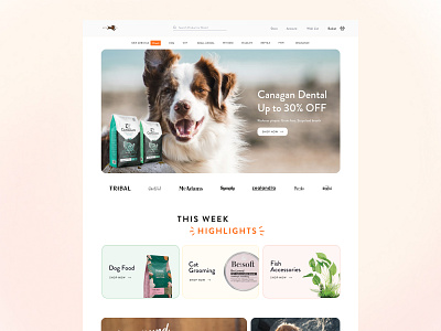 Pet Food E-Commerce homepage e commerce design e commerce landing page homepage design landing page ui pet shop homepage pet shop landing page design pet shop uxui pet shop website pet shot ui responsive design uiux design web design