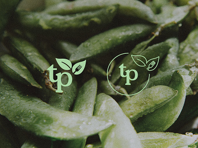 TruProvisions | Brand Marks brand brand design brand identity brand mark brand marks food food logo food service graphic design green green logo leaf leaf logo logo logo design organic organic logo