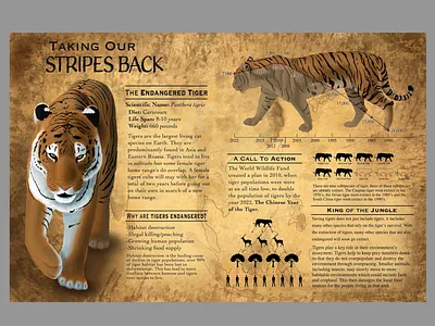Taking Our Stripes Back ecosystem illustrator photoshop tiger