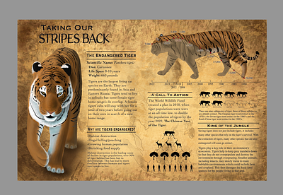 Taking Our Stripes Back ecosystem illustrator photoshop tiger