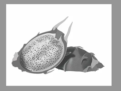 Current Project cross section digital dragon fruit photoshop