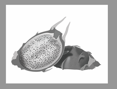 Current Project cross section digital dragon fruit photoshop
