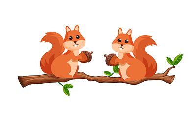 Cute Squirrel animal design graphic design illustration vector