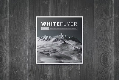 WhiteFlyer Square Trifold agency annual annual report catalog clean design illustration indesign indesign files magazine master pages paragraph style portfolio template prentation print printable square template whiteflyer working