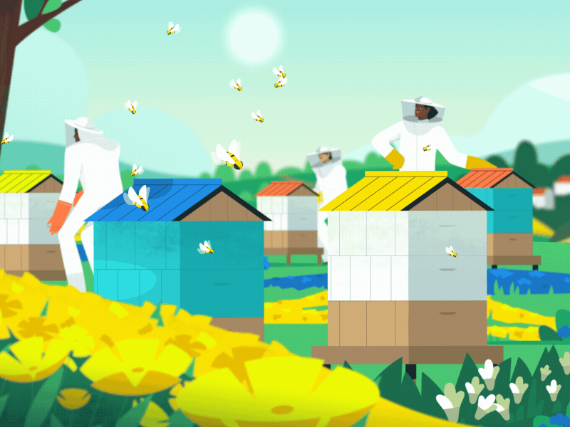 Do you like honey? 2d after effects animation design explainer gif illustration ourshack