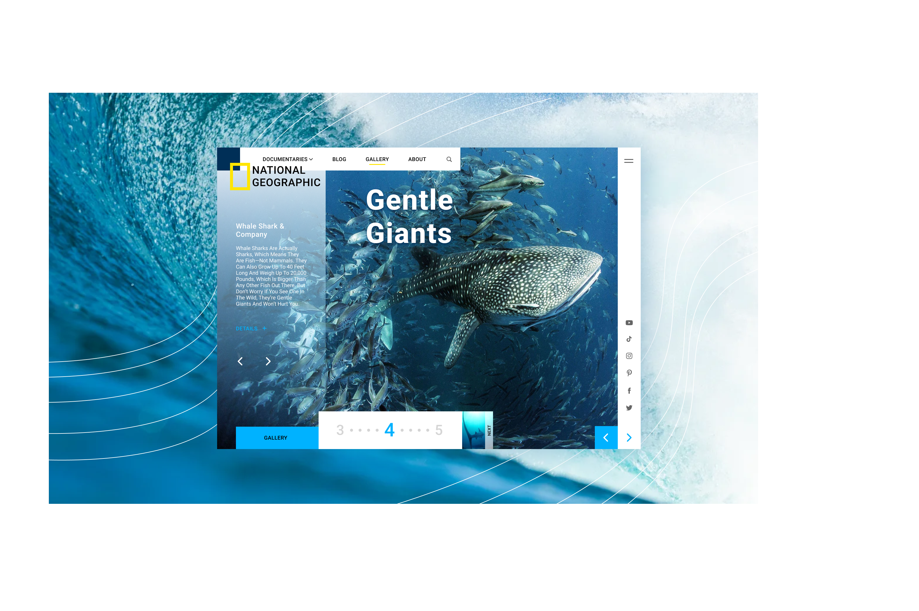 National Geographic Gallery Page animals conservation gallery green national geographic nature oceans skillshare website