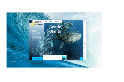 National Geographic Gallery Page animals conservation gallery green national geographic nature oceans skillshare website