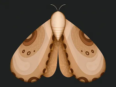 Butterfly 2d abstract adobe adobe illustration adobephotoshop art artwork butterfly clean colorful design designer flat graphic design illustration minimal pattern procreate shapes simple