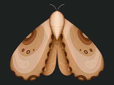 Butterfly 2d abstract adobe adobe illustration adobephotoshop art artwork butterfly clean colorful design designer flat graphic design illustration minimal pattern procreate shapes simple