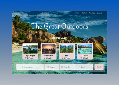 Travel Website graphic design ui