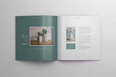 Square Portfolio Template booklet brochure brochure design concept cover design graphic indesign layout leaflet lookbook magazine portfolio portfolio design portfolio template presentation report square template web design