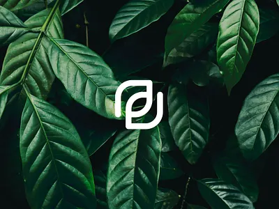 PristineLyfe - logo+mark & branding air brand design brand identity branding clean air design disinfectant disinfection illustration leaf logo logotype minimalism ozone pristinelyfe vector