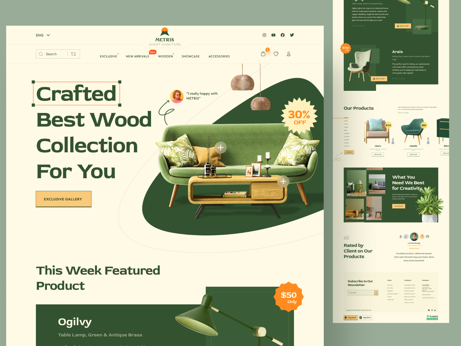 Example of Custom Website/Landing Page Design