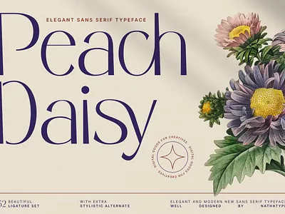 Peech Daisy Font branding design display font graphic design illustration logo serif typeface typography