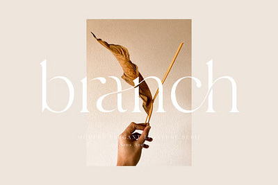 Branch Ligature Font branding design display font graphic design illustration logo serif typeface typography