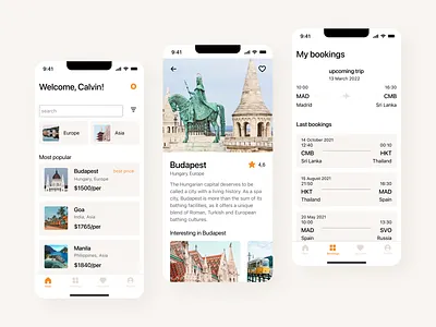 Tour Booking Mobile App app booking design mobile travel ui ux